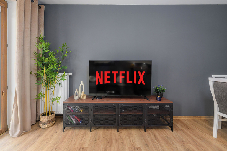 Television, Lumina 2BR Apart with Parking & Balcony, Warsaw