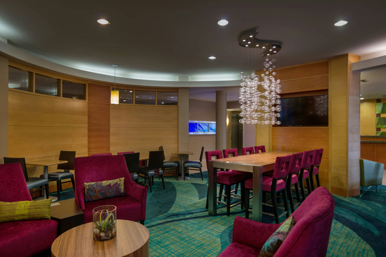 Food & Drinks 4, SpringHill Suites by Marriott St. Petersburg Clearwater, Pinellas