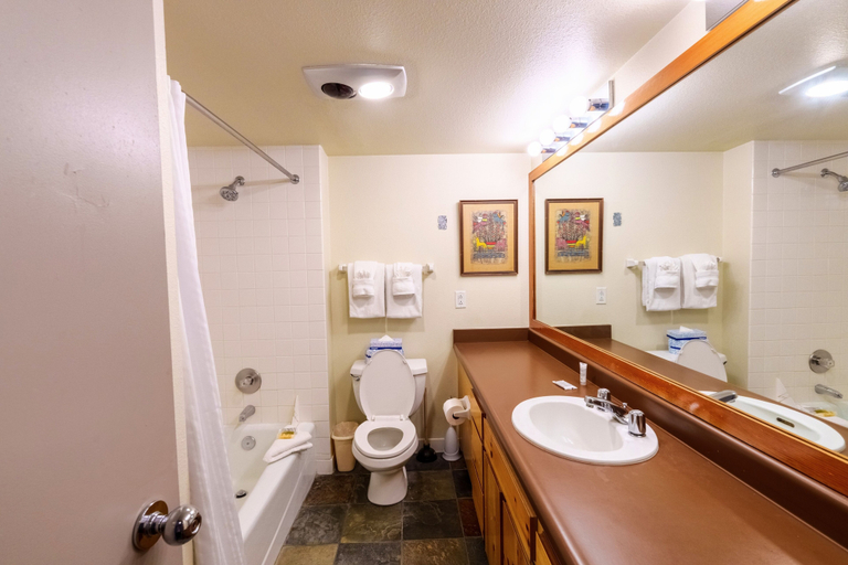 Bathroom, 1811 Decatur Condo, Summit