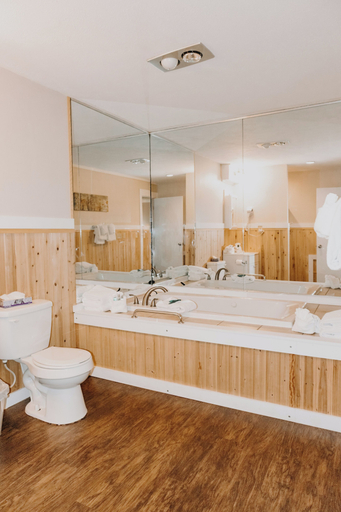 Bathroom 4, Carriage House Country Club, Monroe