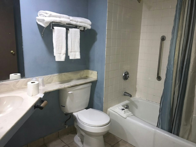 Bathroom, Palm Tree Extended Stay - Macon, Bibb