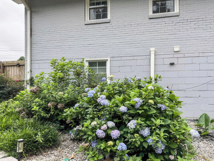 Exterior detail, Tucked away in Tucker, DeKalb
