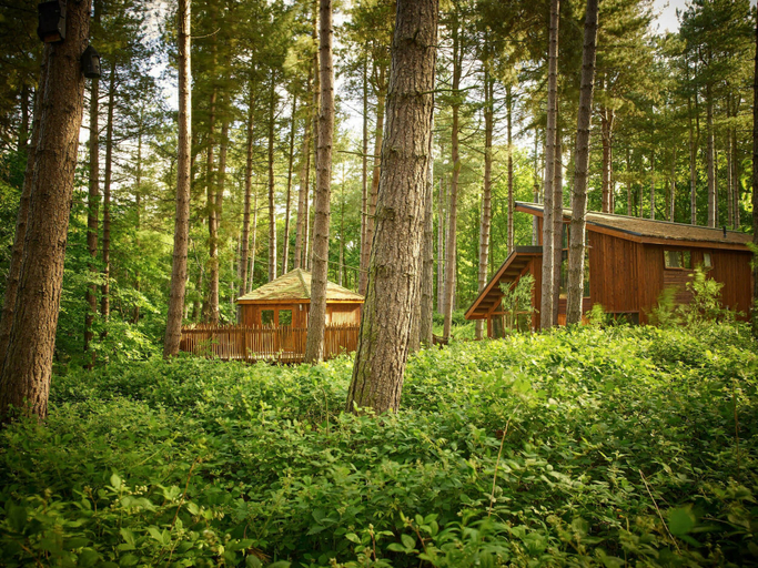 Front of property 4, Blackwood Forest - Forest Holidays, Hampshire