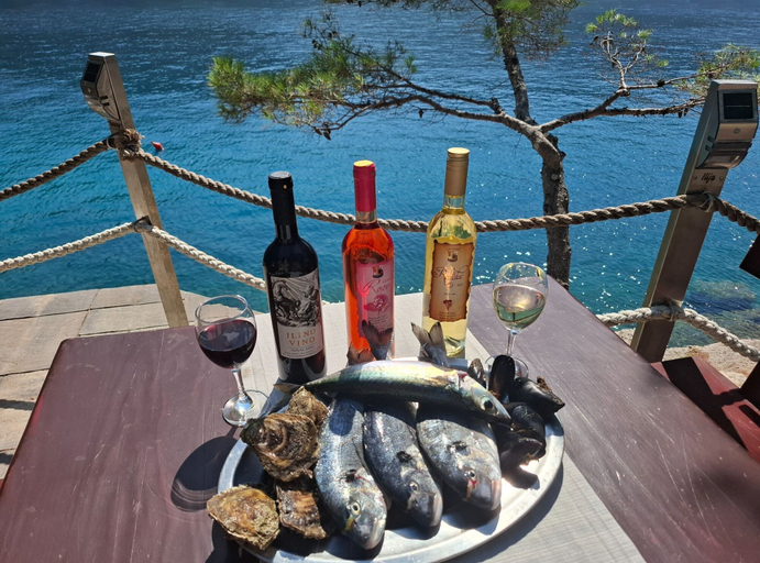 Food & Drinks 5, Josip Blue Horizon Apartments, Ston