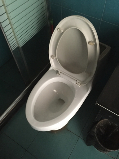 Bathroom 4, Xinlantian Hotel, Ningbo