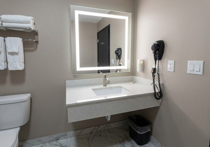 Bathroom 4, Quality Inn Texarkana Arkansas, Miller