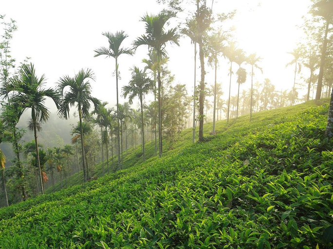 Others 4, Gods Land Resort, The Nilgiris