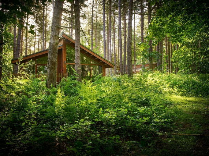 Front of property 5, Blackwood Forest Silver Birch Wheelchair Accessible Cabin, Hampshire