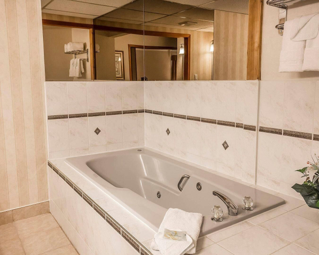 Bathroom 4, Quality Inn & Conference Centre, Division No. 8