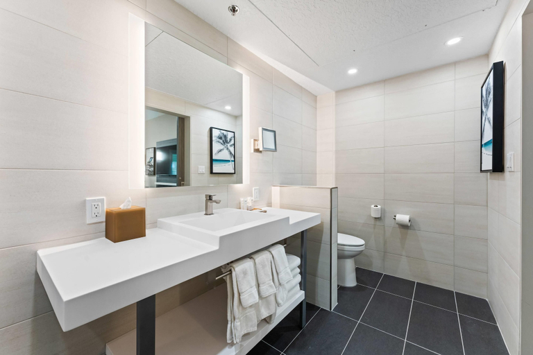 Bathroom 4, Radisson Resort at the Port, Brevard