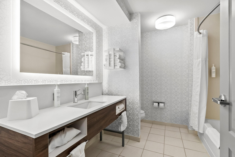 Bathroom 4, Hampton Inn & Suites Peru, La Salle