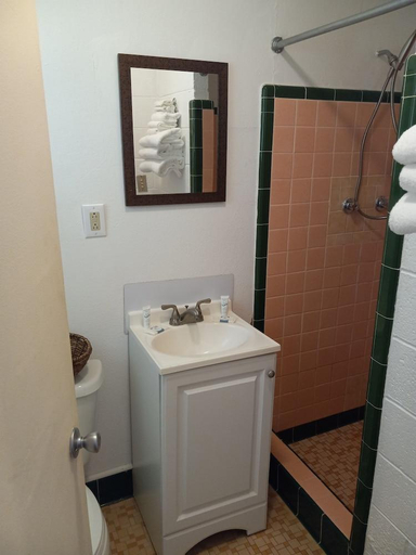 Bathroom 3, Cedar Falls Motel, Conway