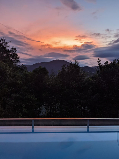 Room 4, Rainforest Meets Luxury - Infinity Pool Views, Cairns