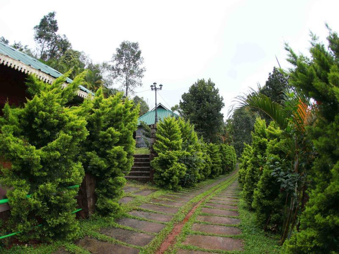 Others 5, Lumino Wyte Mist, Idukki