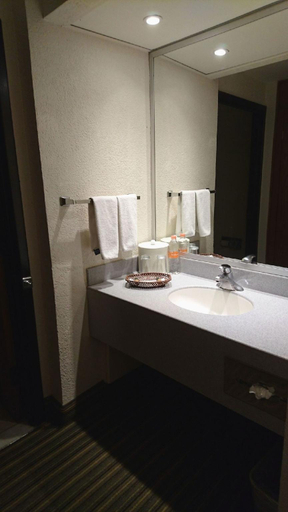 Bathroom 5, Casa Grande Chihuahua, Chihuahua
