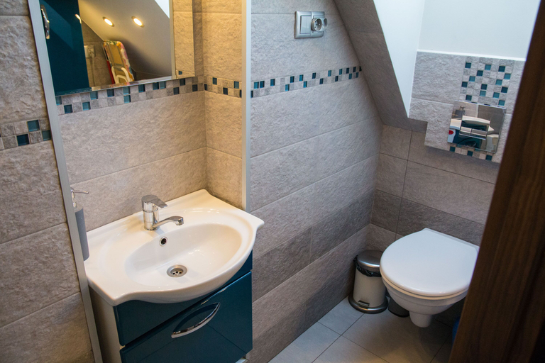 Bathroom 3, アパルタメント アストロ, Toruń City