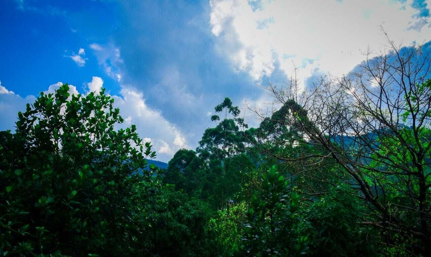 Miscellaneous 5, Lovely Homestay, Ella
