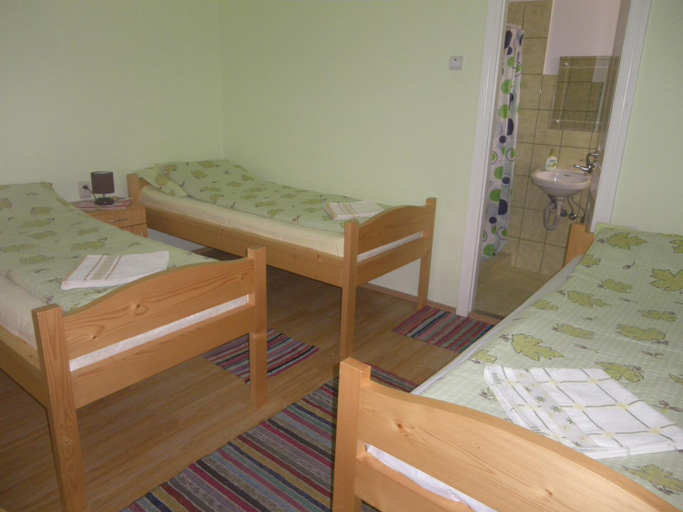 Bedroom 4, Pensiunea Katalin Vendeghaz, Sic
