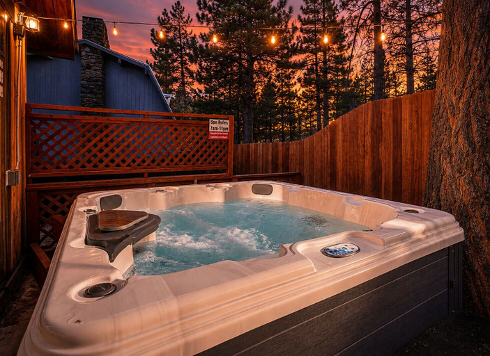 Sport & Beauty 5, Temple Bear Chalet #2507, San Bernardino