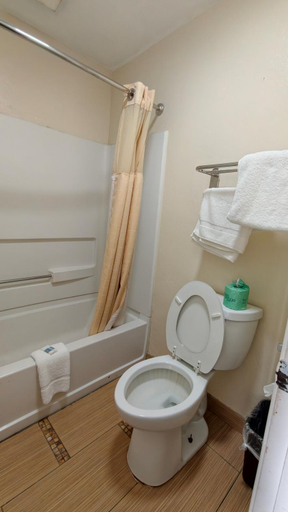 Bathroom 4, Deluxe Inn By Capital O Odessa I-20, Ector
