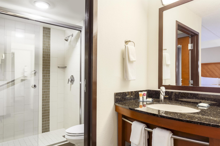 Bathroom 4, Hyatt Place Fort Worth/Hurst, Tarrant