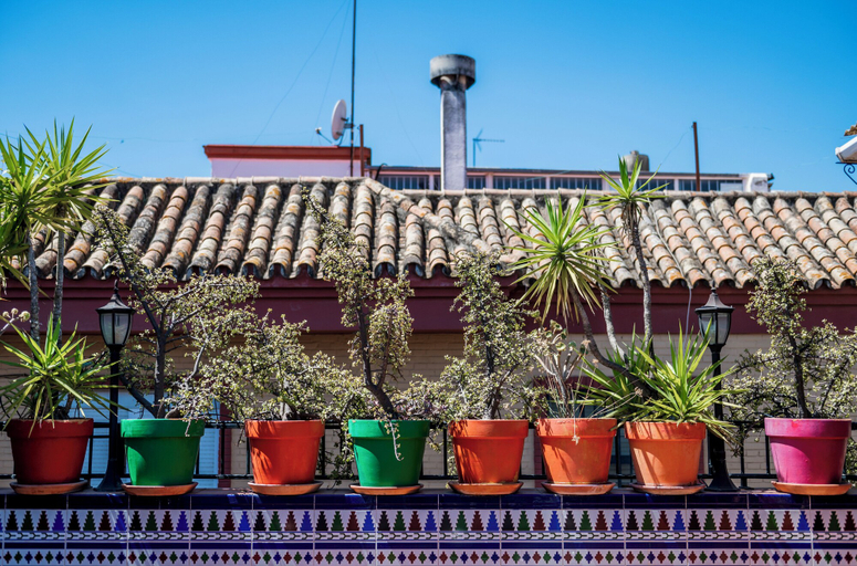 Exterior & Views 2, Triana Backpackers, Sevilla
