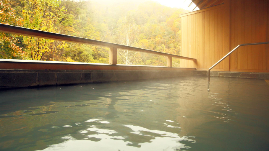 Sport & Beauty 4, Goshiki Onsen No Yu Ryokan, Takayama