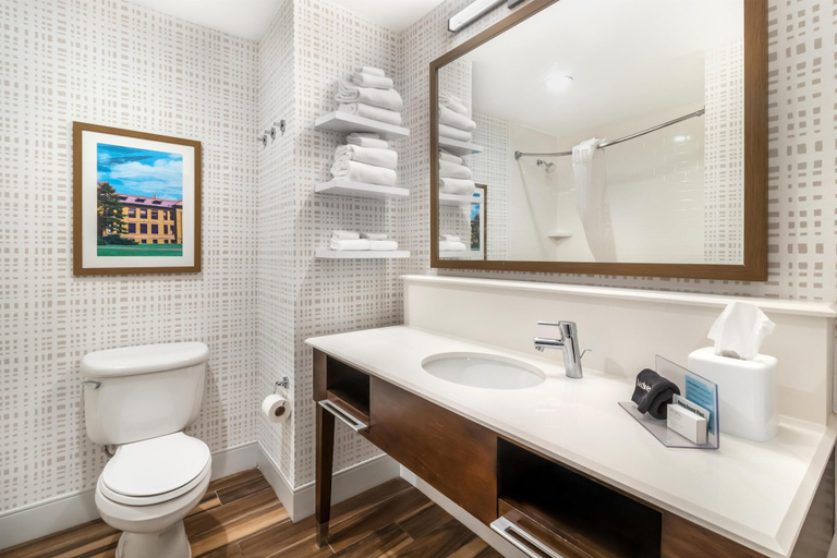 Bathroom 4, Hampton Inn Carbondale, Jackson