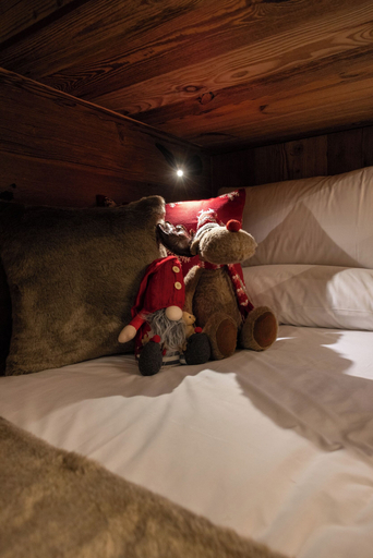 Room 5, Les reves des Montagnards, Aosta