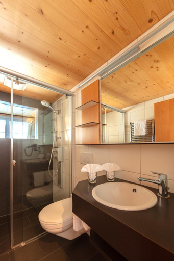 Bathroom, Hotel Frohe Aussicht, Appenzell Innerrhoden