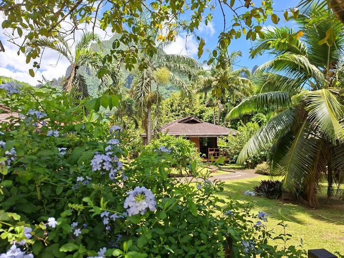 Property grounds 3, Village Temanoha