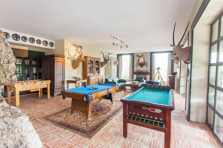 Game room, Finca Muelas Toledo, Toledo