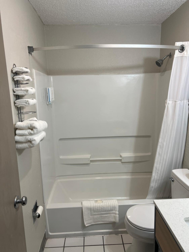 Bathroom 4, Pittsburgh Royal Hotel, Allegheny