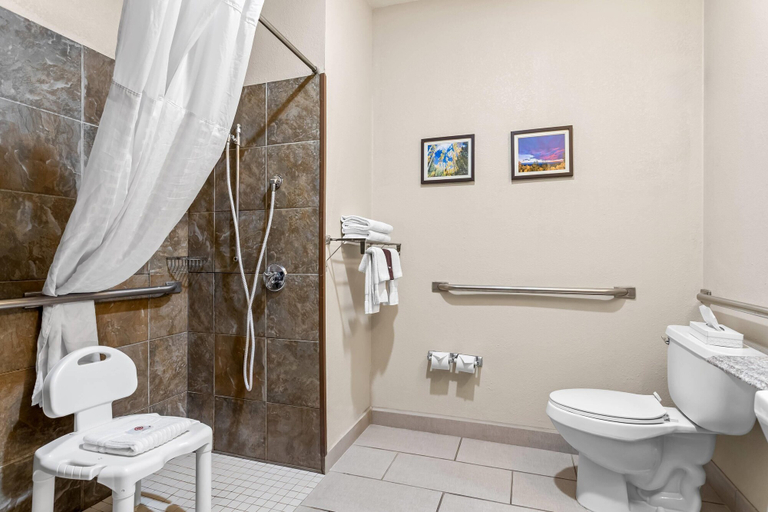 Bathroom 4, Comfort Inn & Suites Midtown, Lincoln