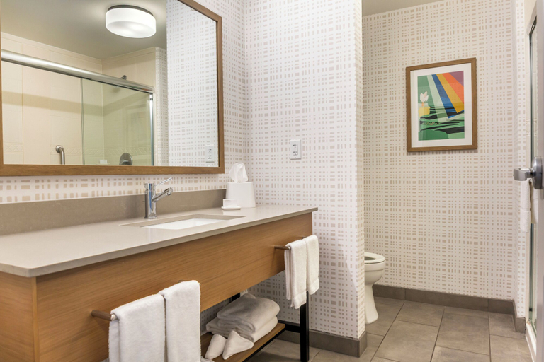 Bathroom 4, Hampton Inn & Suites Cincinnati/Uptown-University Area, Cincinnati