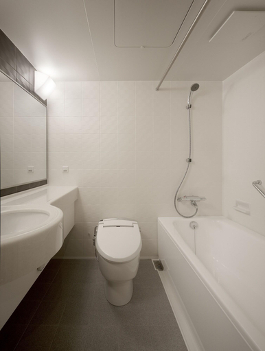 Bathroom 4, Asukaso, Nara