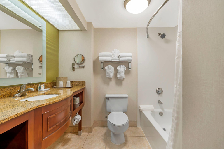 Bathroom 4, Comfort Inn Anaheim Resort, Orange