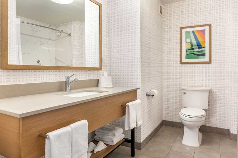 Bathroom 4, Hampton Inn & Suites Cincinnati/Uptown-University Area, Cincinnati