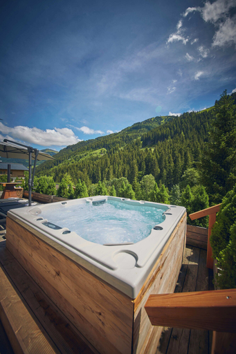 Sport & Beauty 5, Chalet Tannenbaum, Zell am See