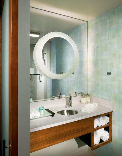 Bathroom, Springhill Suites by Marriott Bellingham, Whatcom
