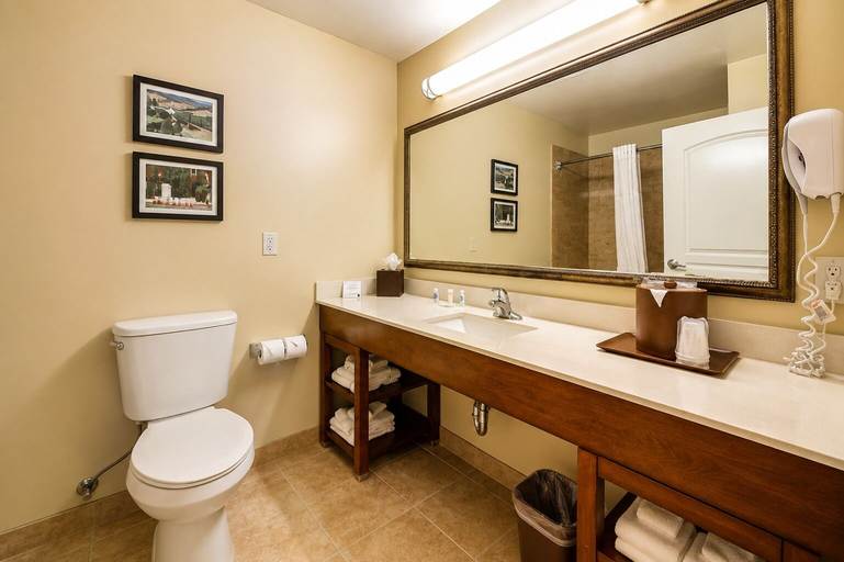 Bathroom 4, Comfort Inn Pomona near Fairplex, Los Angeles