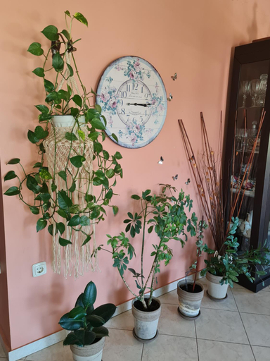 Others 5, Yiotas house, free parking, East Macedonia and Thrace