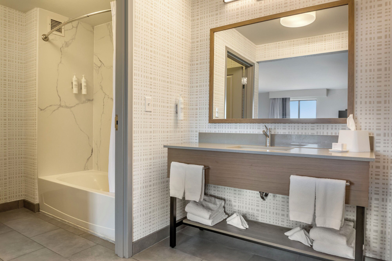 Bathroom 4, Hampton Inn & Suites Cincinnati/Uptown-University Area, Hamilton