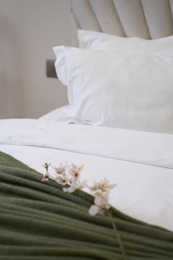 Room 5, Apartment on Pushkin str by Sweet Home, Yerevan