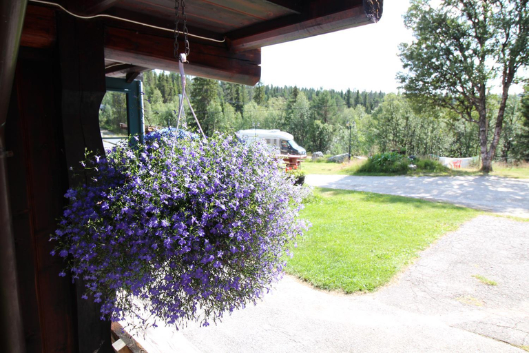 Others 4, Mountain Lodge - Friisvegen Masaplassen, Ringebu
