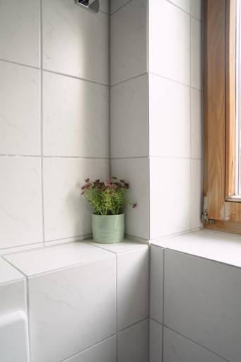 Bathroom 2, The Green House, Maloja