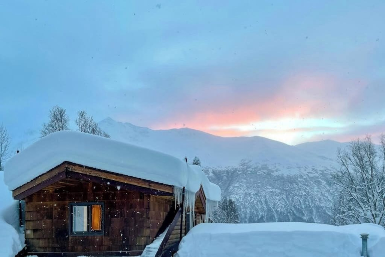 Interior 4, Remote 2BR Log Cabin Tucked Outside Anchorage, Anchorage