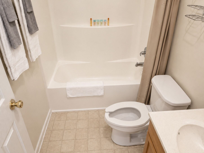 Bathroom 3, Tumbleweed Inn & Suites, McKenzie