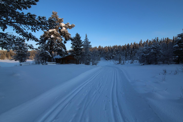 Others 5, Mountain Lodge - Friisvegen Masaplassen, Ringebu