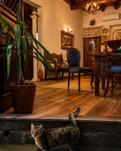 Interior, Şefika Hanım Konağı, Ayvalık